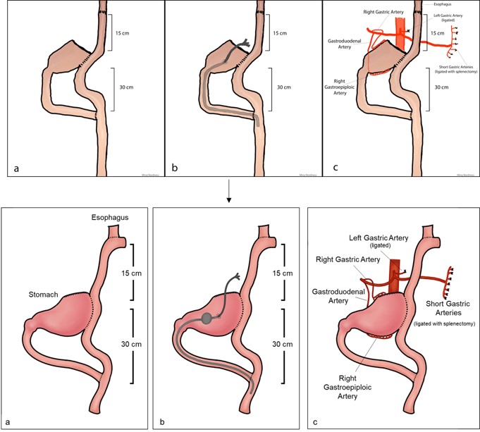 improved figure example