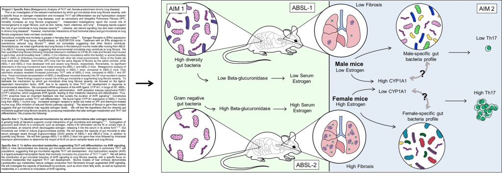 Graphical Abstract