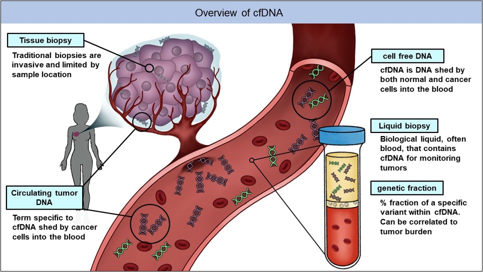 SWERV cfDNA