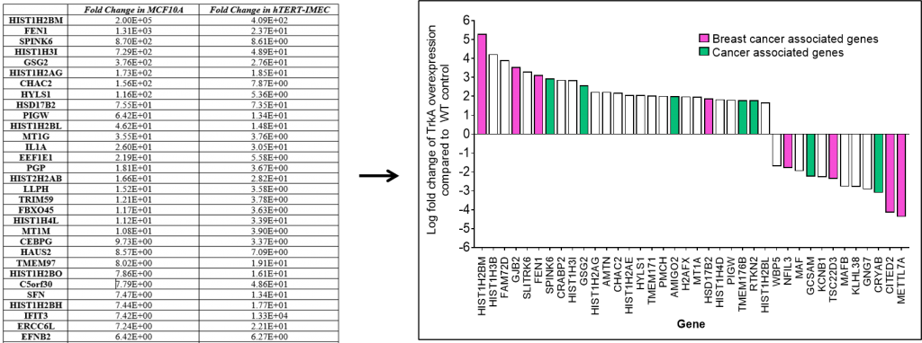 raw data fig