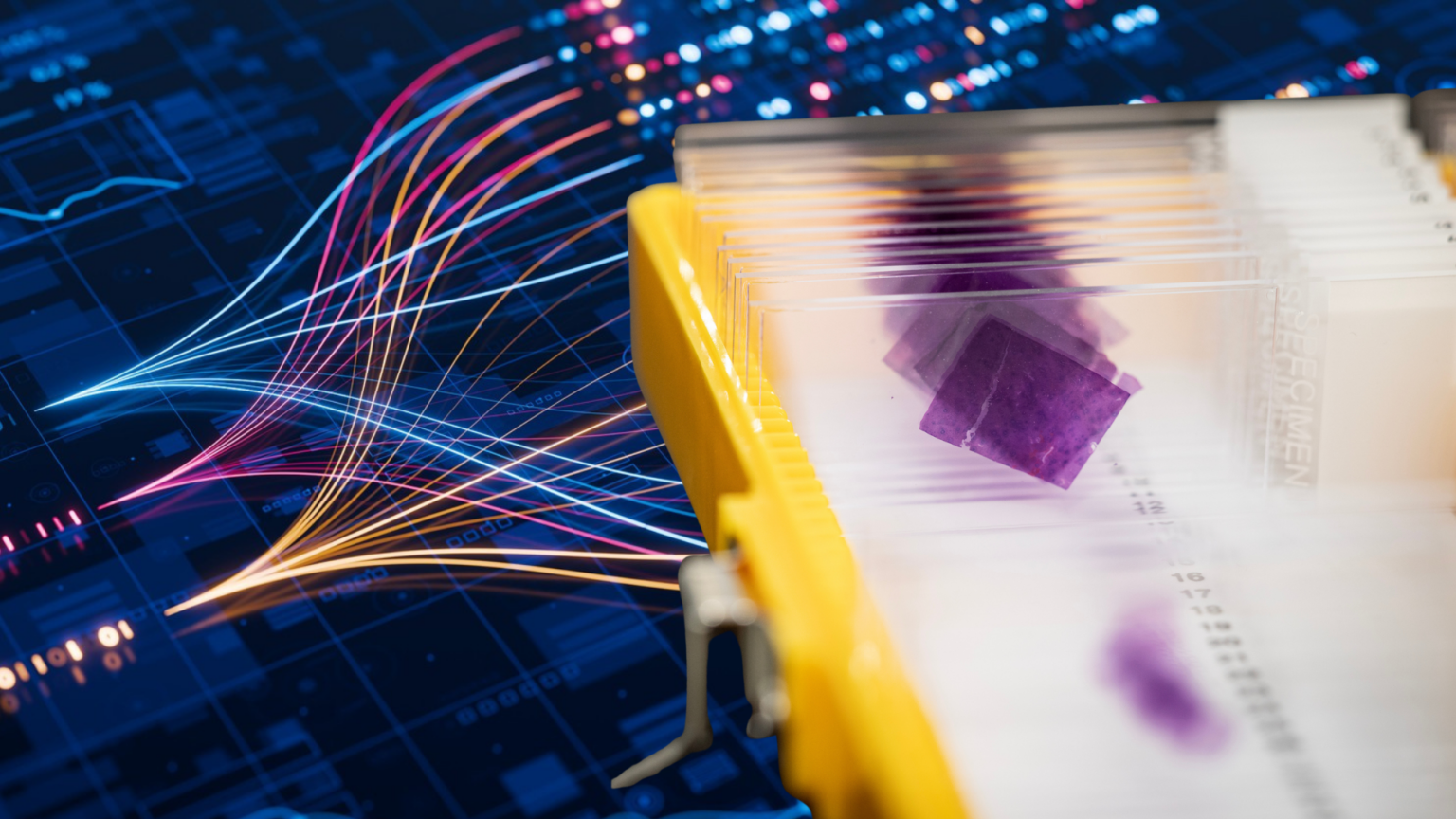 New framework renders AI trustworthy for cancer subtyping